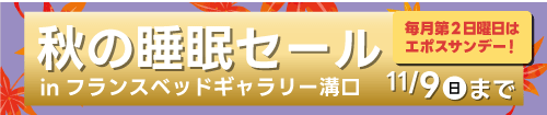 フランスベッドギャラリー溝口　快眠フェア